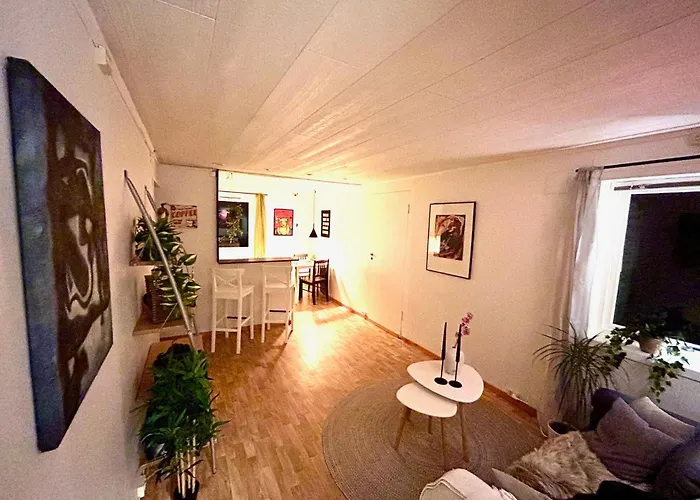 Havly Spring Тромсё