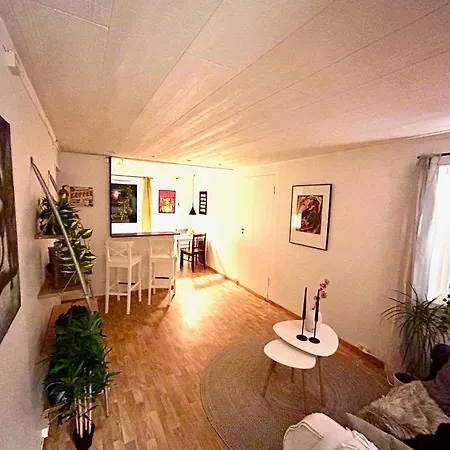 Havly Spring Tromsø